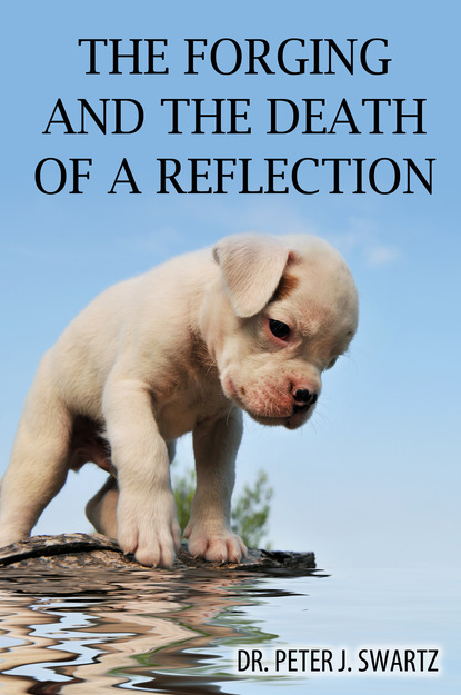 

The Forging and the Death of a Reflection