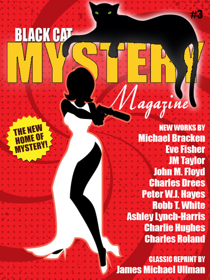 John M. Floyd — Black Cat Mystery Magazine #3