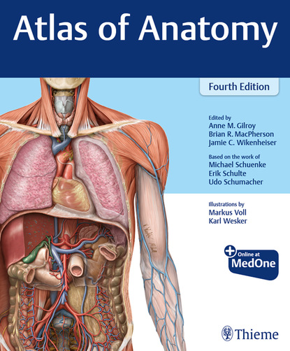 Anne M. Gilroy - Atlas of Anatomy