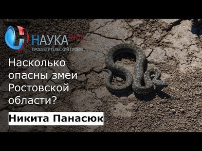 Насколько опасны змеи Ростовской области