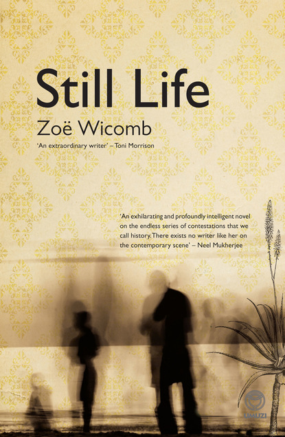 Zoeë Wicomb - Still Life