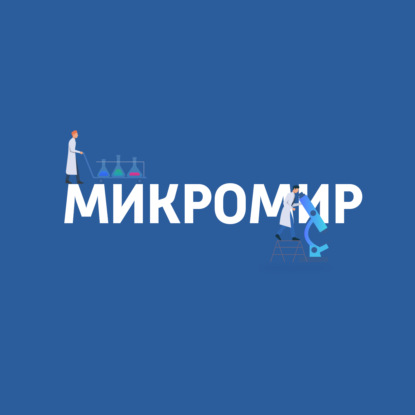 

Обонятельные рецепторы
