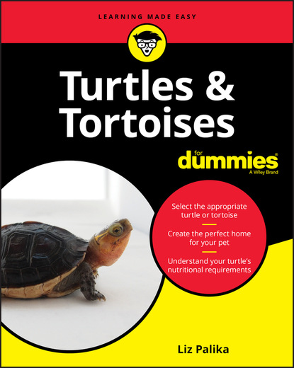 Liz  Palika - Turtles & Tortoises For Dummies
