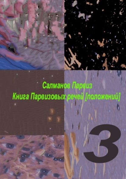 

Книга Парвизовых речей [положений]. Часть 3