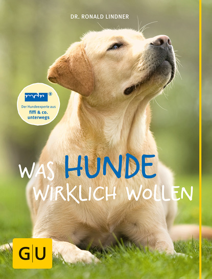 

Was Hunde wirklich wollen
