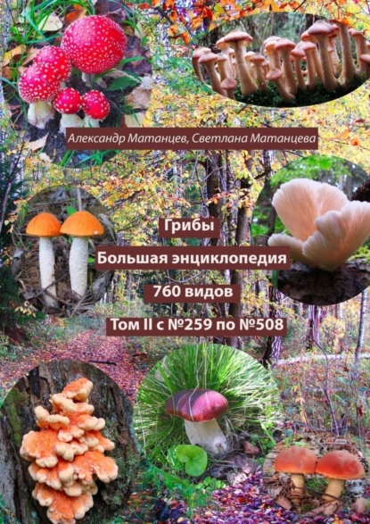 Обложка книги Грибы. Большая энциклопедия. 760 видов. Том II с №259 по №508, Александр Матанцев