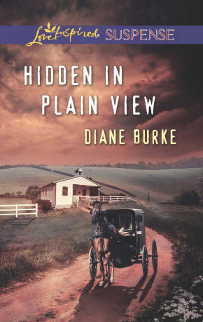 Diane Burke - Hidden in Plain View