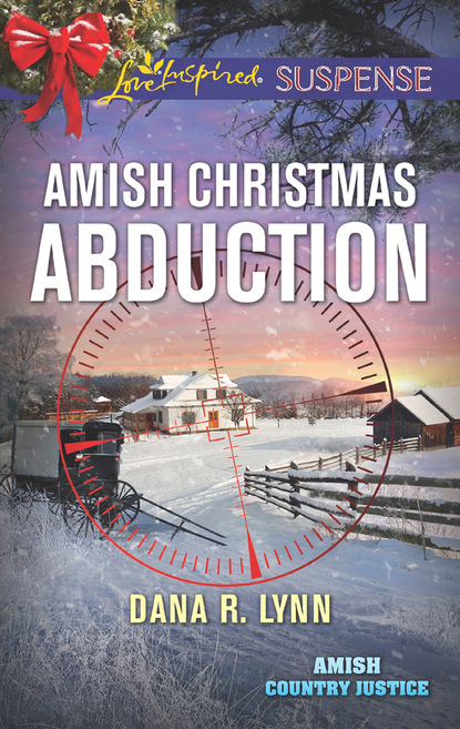 Dana R. Lynn - Amish Christmas Abduction