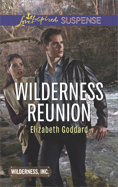 Elizabeth Goddard - Wilderness Reunion