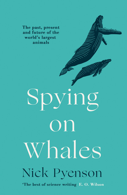 Nick Pyenson — Spying on Whales