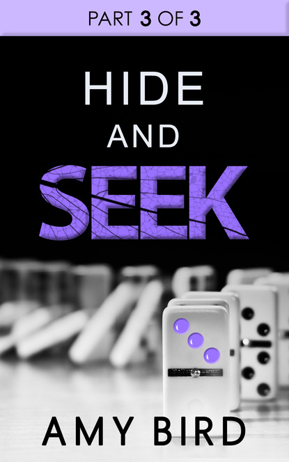 Hide And Seek (Part 3) - Amy Bird