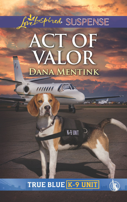 Dana Mentink - Act Of Valor