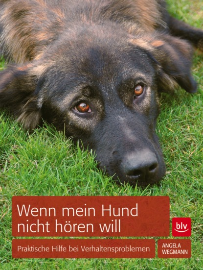 

Wenn mein Hund nicht hören will