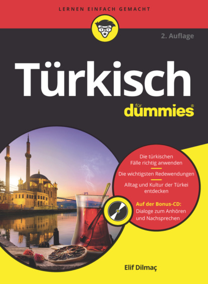 Elif Dilmaç - Türkisch für Dummies