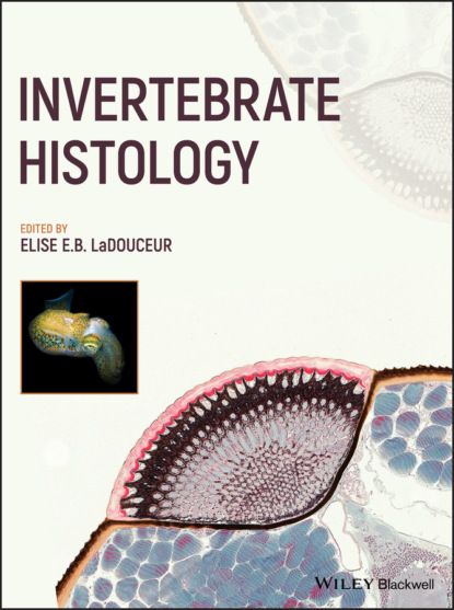 Группа авторов - Invertebrate Histology