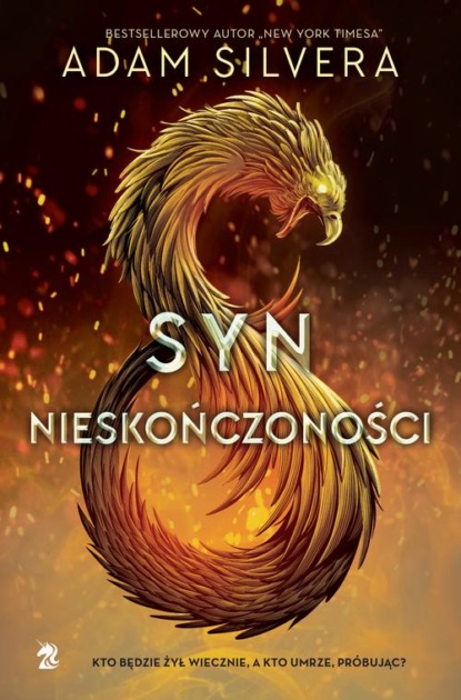 Adam Silvera - Syn nieskończoności