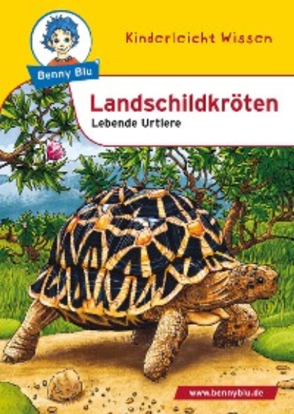 Simon Eckstein - Benny Blu - Landschildkröten
