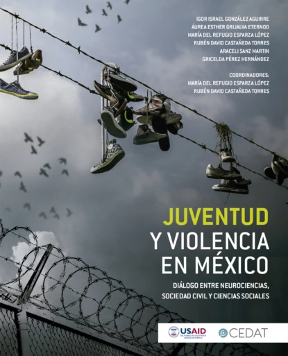 Обложка книги Juventud y violencia en México, María del Refugio Esparza López