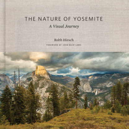 Группа авторов - The Nature of Yosemite