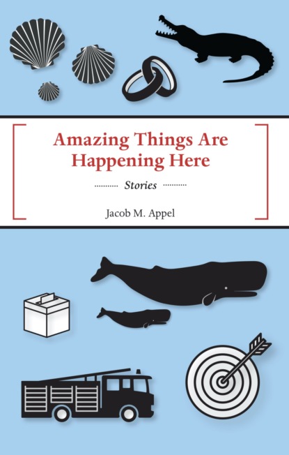 Jacob Appel - Amazing Things Are Happening Here