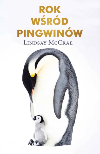 Lindsay McCrae - Rok wśród pingwinów