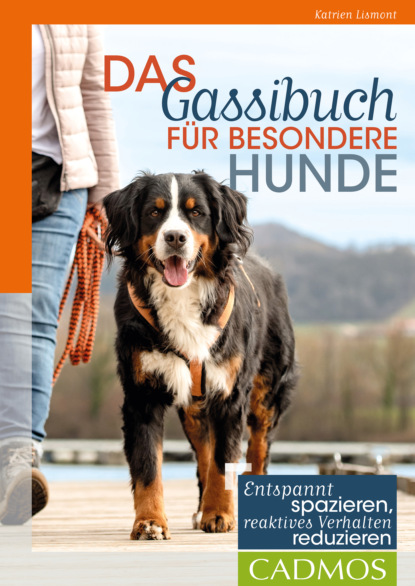 Katrien Lismont - Das Gassi-Buch für besondere Hunde