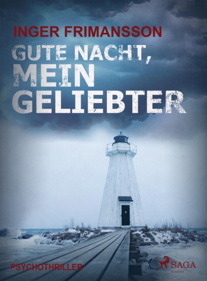 Gute Nacht, mein Geliebter - Psychothriller (Inger Frimansson). 