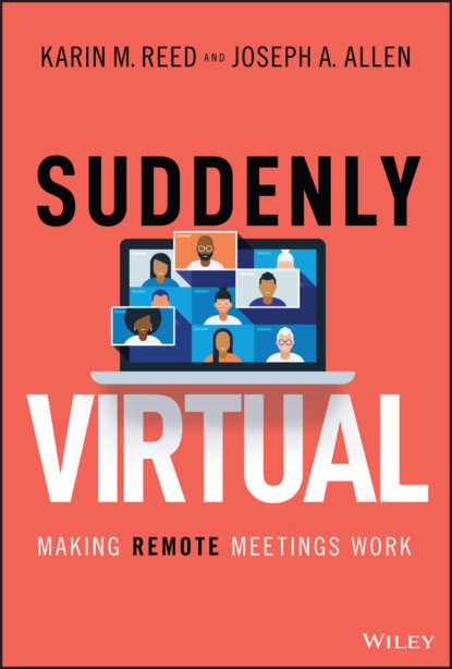 Suddenly Virtual - Karin M. Reed