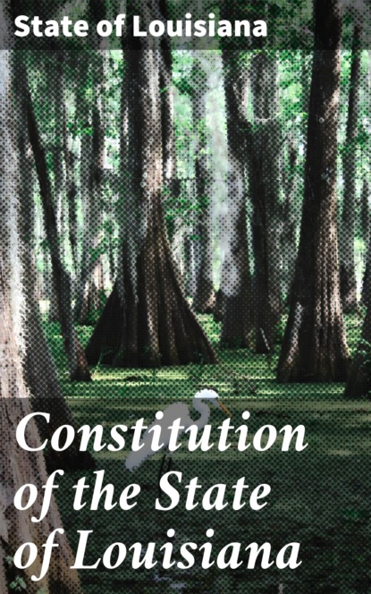 State of Louisiana - Constitution of the State of Louisiana