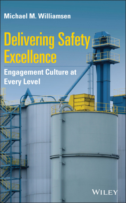 Delivering Safety Excellence (Michael M. Williamsen). 