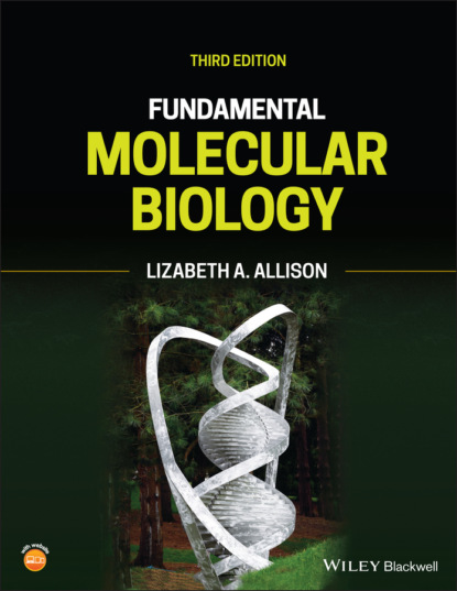 Lizabeth A. Allison - Fundamental Molecular Biology