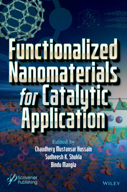 Группа авторов - Functionalized Nanomaterials for Catalytic Application
