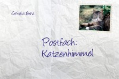 Cornelia Bera - Postfach Katzenhimmel