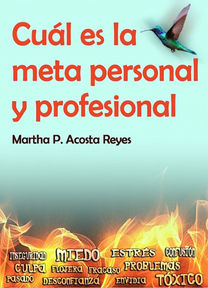 Martha P. Acosta Reyes - Cuál es la meta personal y profesional