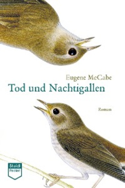 Eugene McCabe - Tod und Nachtigallen (Steidl Pocket)