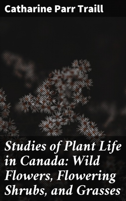 

Studies of Plant Life in Canada: Wild Flowers, Flowering Shrubs, and Grasses