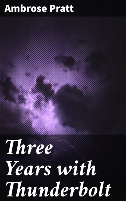 

Three Years with Thunderbolt