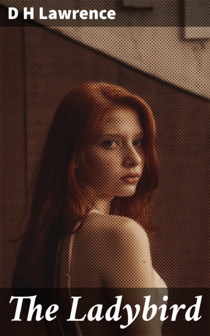 

The Ladybird