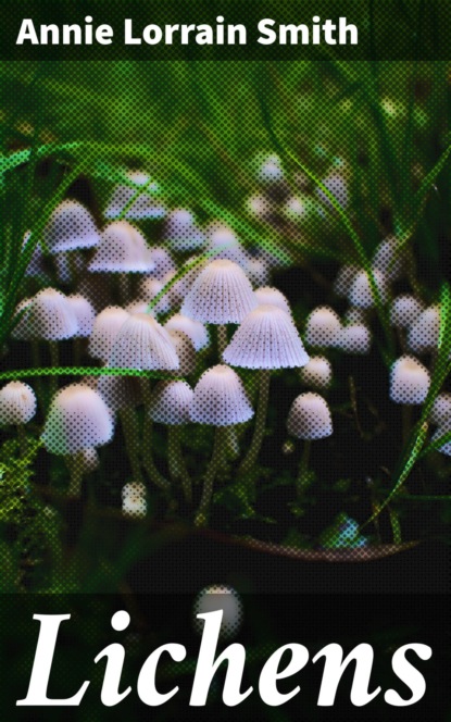 

Lichens