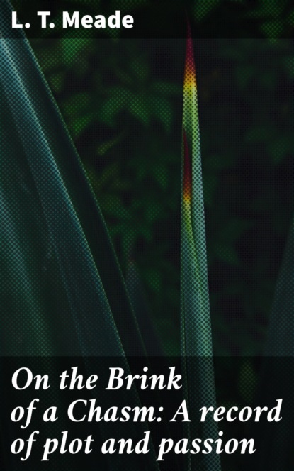 

On the Brink of a Chasm: A record of plot and passion
