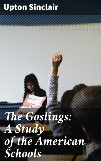 

The Goslings: A Study of the American Schools