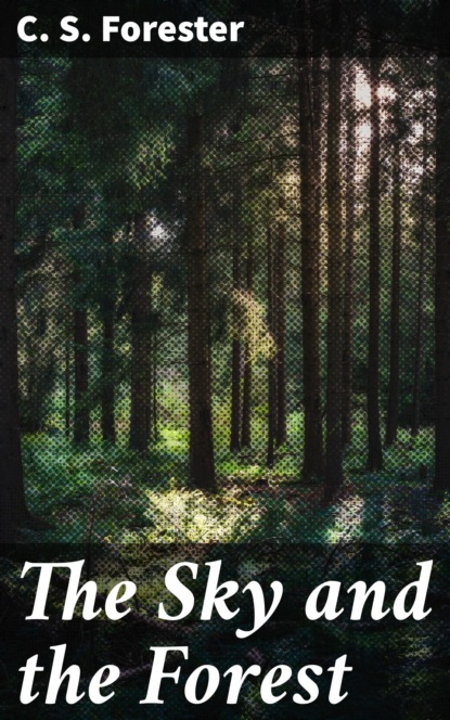 

The Sky and the Forest