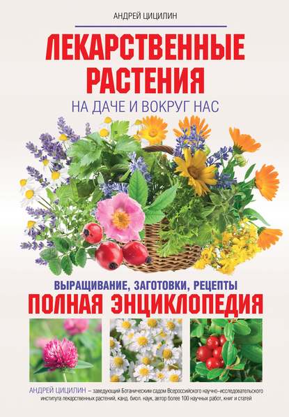 

Лекарственные растения на даче и вокруг нас. Полная энциклопедия