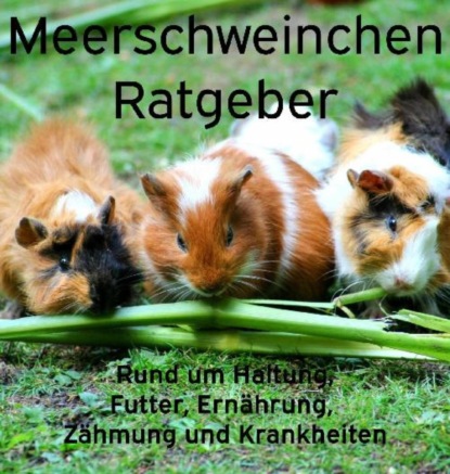 Meerschweinchen Ratgeber.