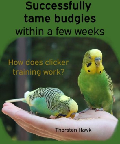 Successfully tame budgies within a few weeks (Thorsten Hawk). 