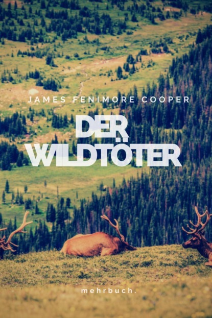 Der Wildtöter (James Fenimore Cooper). 