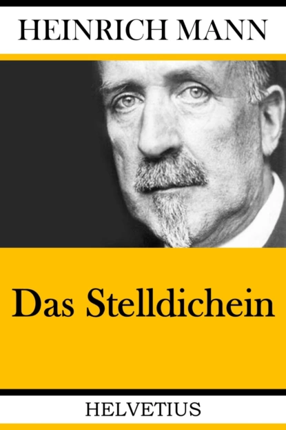 Обложка книги Das Stelldichein, Heinrich Mann