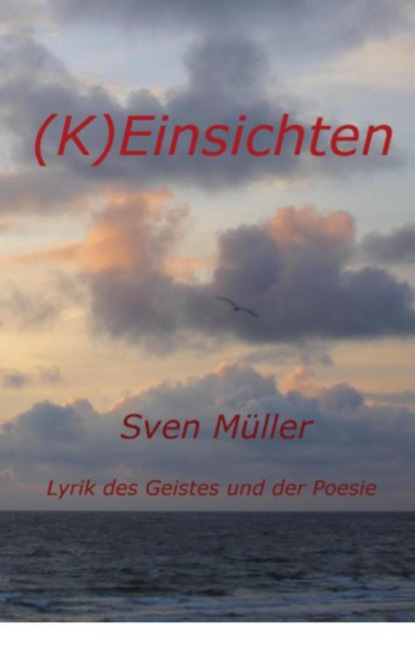 (K)Einsichten (Sven Müller). 