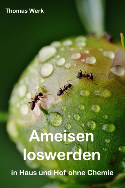 Ameisen loswerden