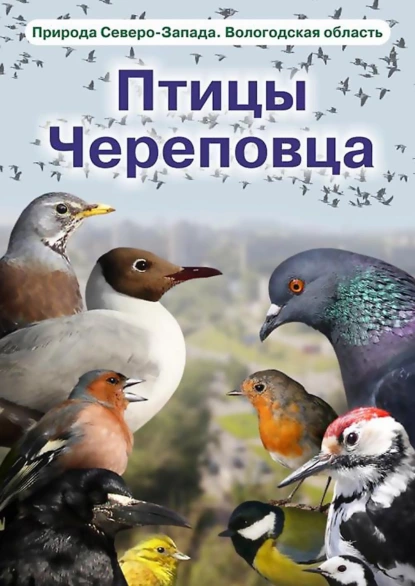 Обложка книги Птицы Череповца, Д. В. Кулаков